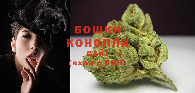 где продают   Павлово  Шишки марихуана SATIVA & INDICA 